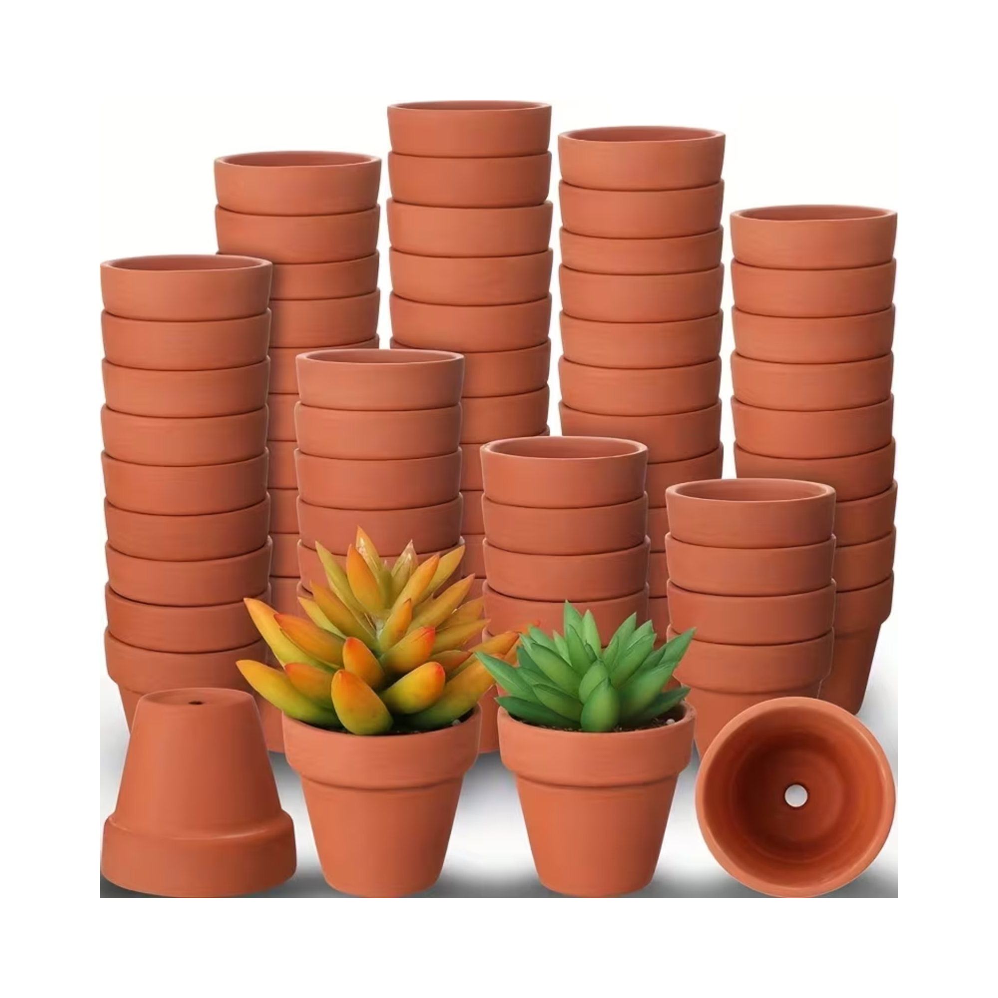 50 Pieces Terracotta Pots