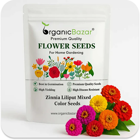 Summer Flower Seeds