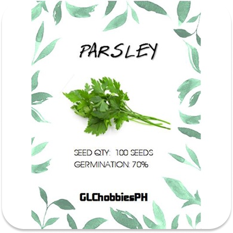 Parsley Seeds