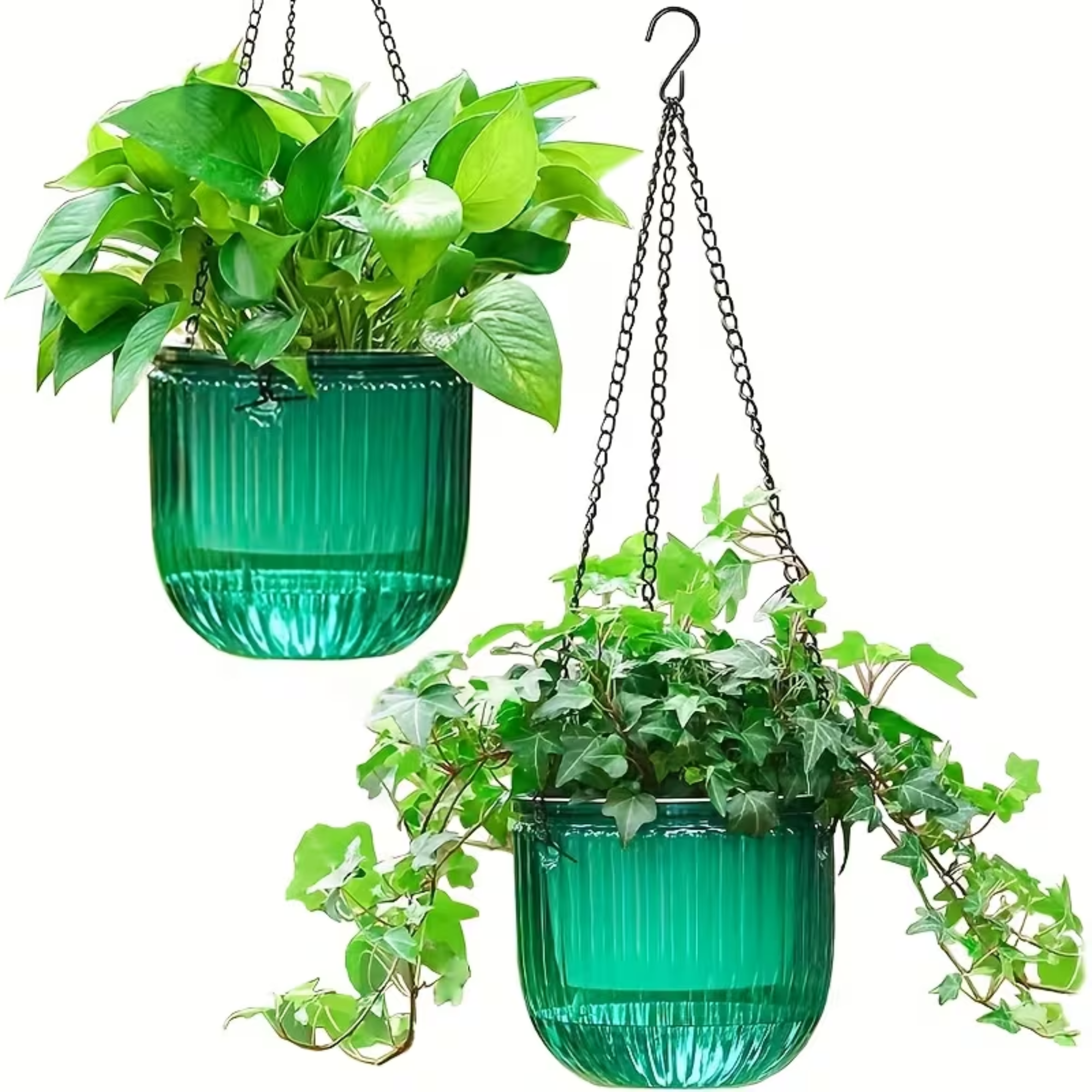 Self-Watering Hanging Glass Pot