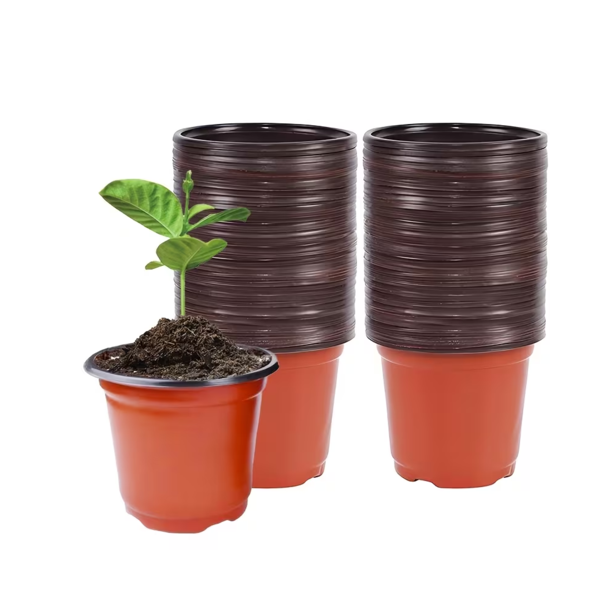 50 Pieces Plastic Pots