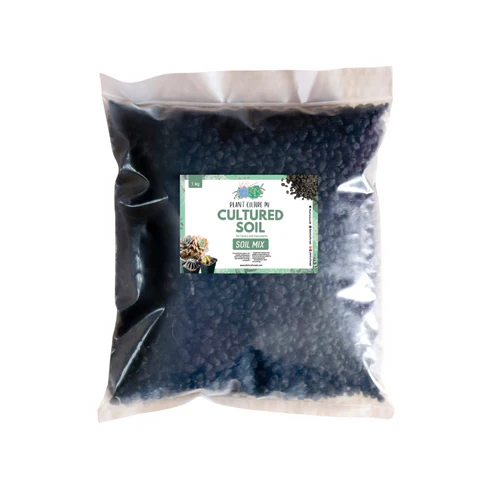 Cultured Soil for Cactus and Succulent