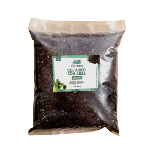 Cultured Soilless Potting Mix for Potted Plants
