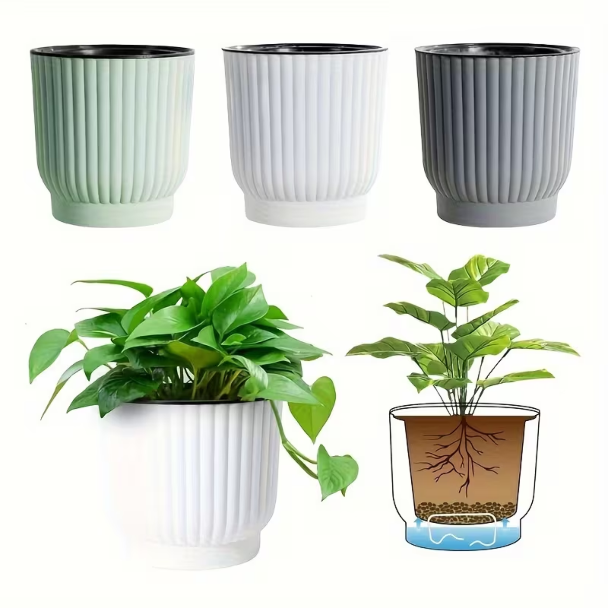 Ceramic Self-Watering Pot (5 pieces)